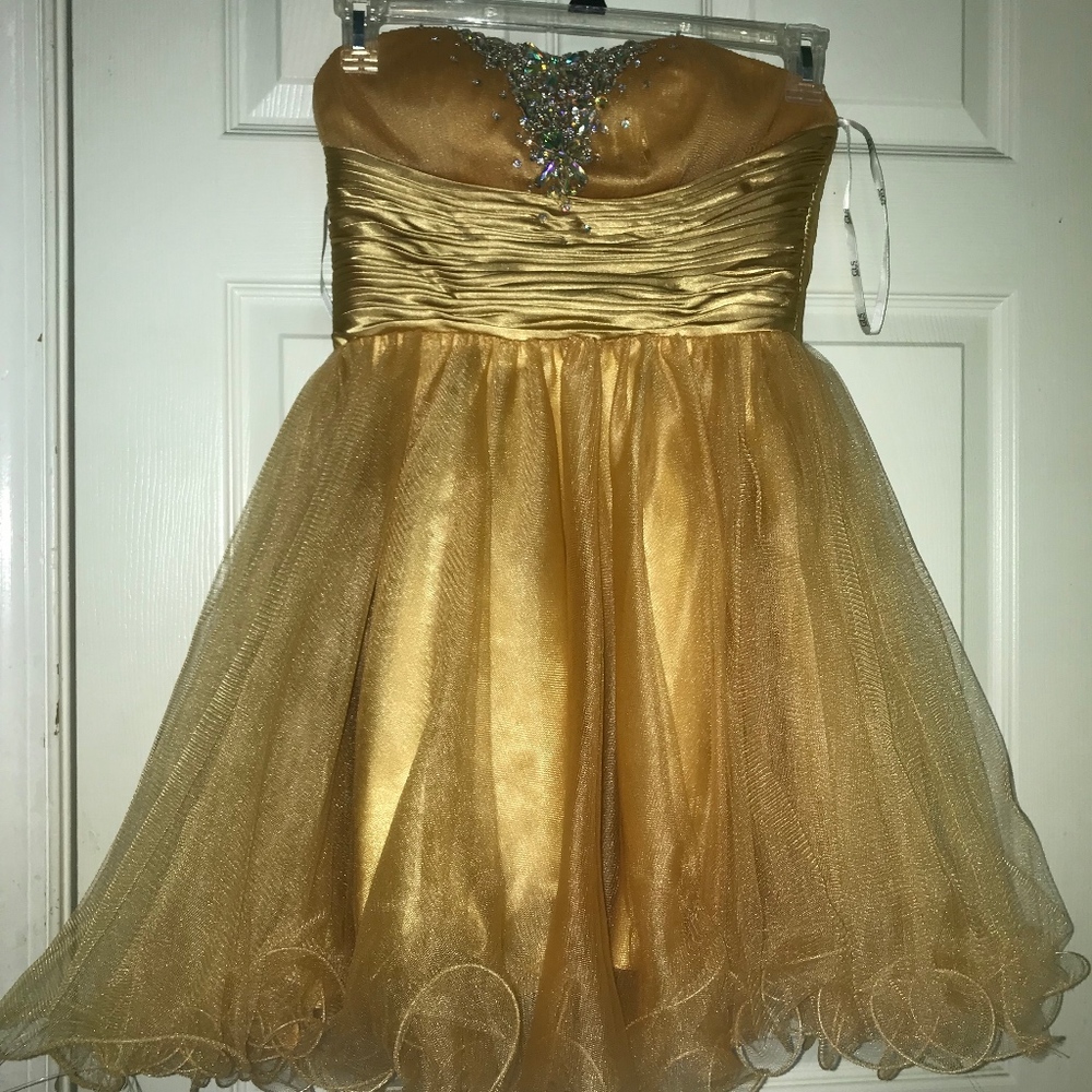 Quince/Prom Dress